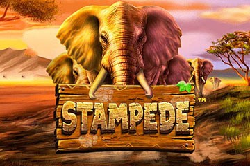 Stampede